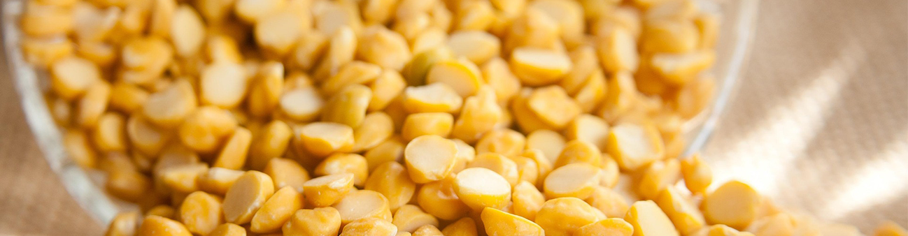 Chana Daal